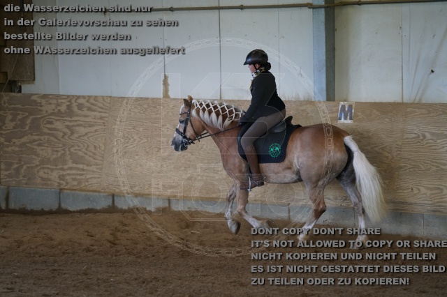 s_K3F03490.JPG